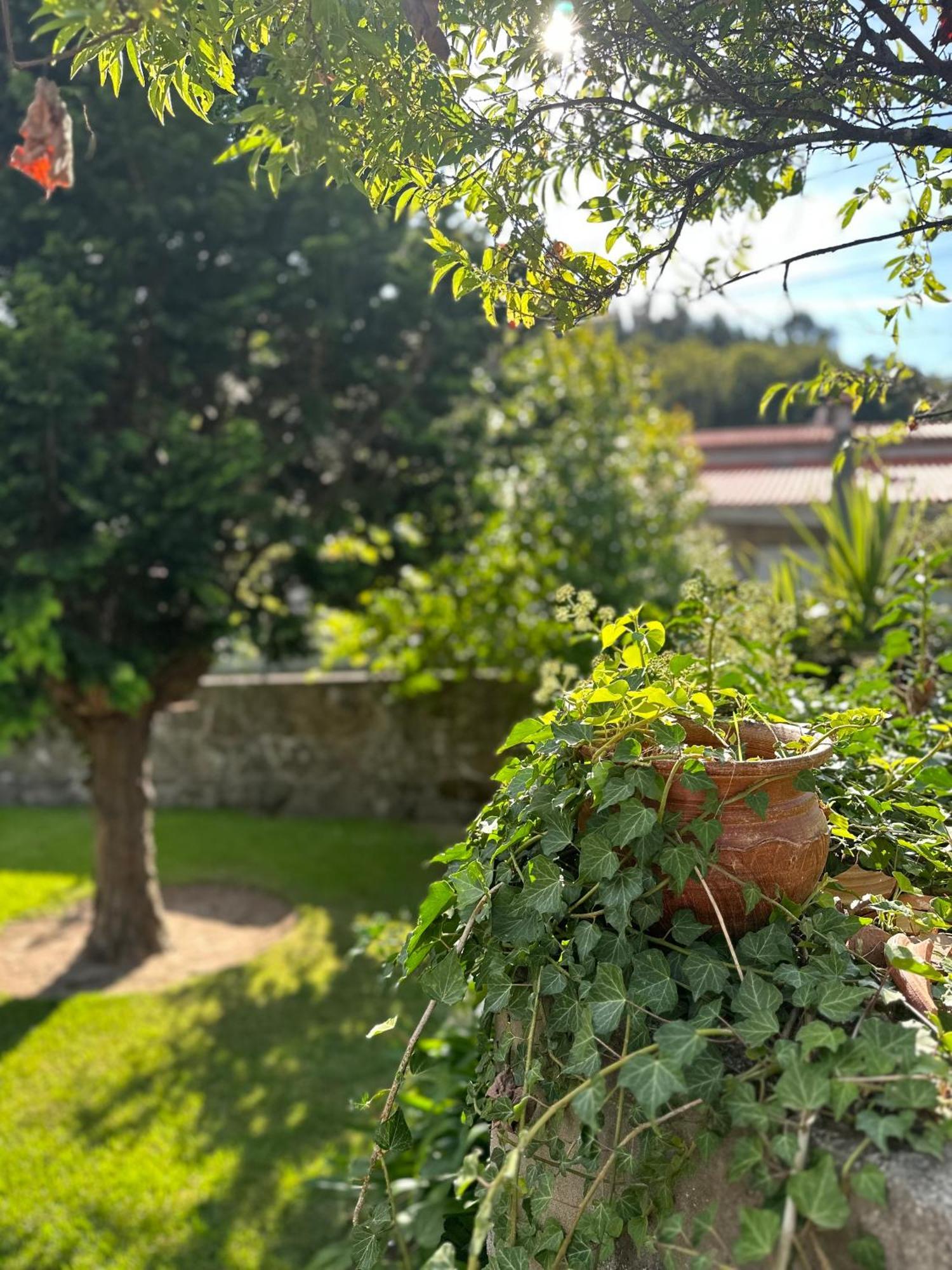 Vila Guia In Valdreu ブラガ エクステリア 写真